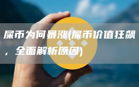 屎币为何暴涨 - 屎币价值狂飙，全面解析原因